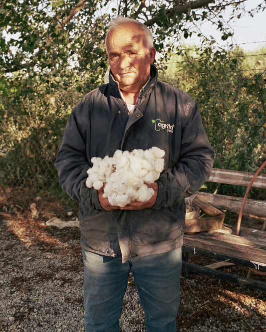 The Future Of Cotton